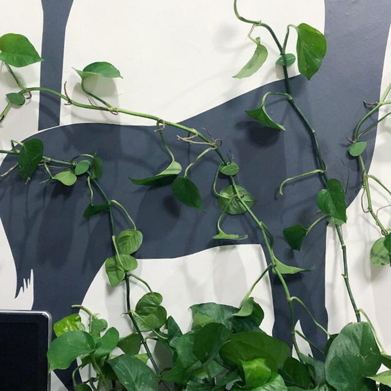 植物登山アーティファクト修正クリップ(30個)