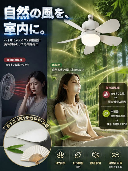 家庭用小型静音ファンライト
